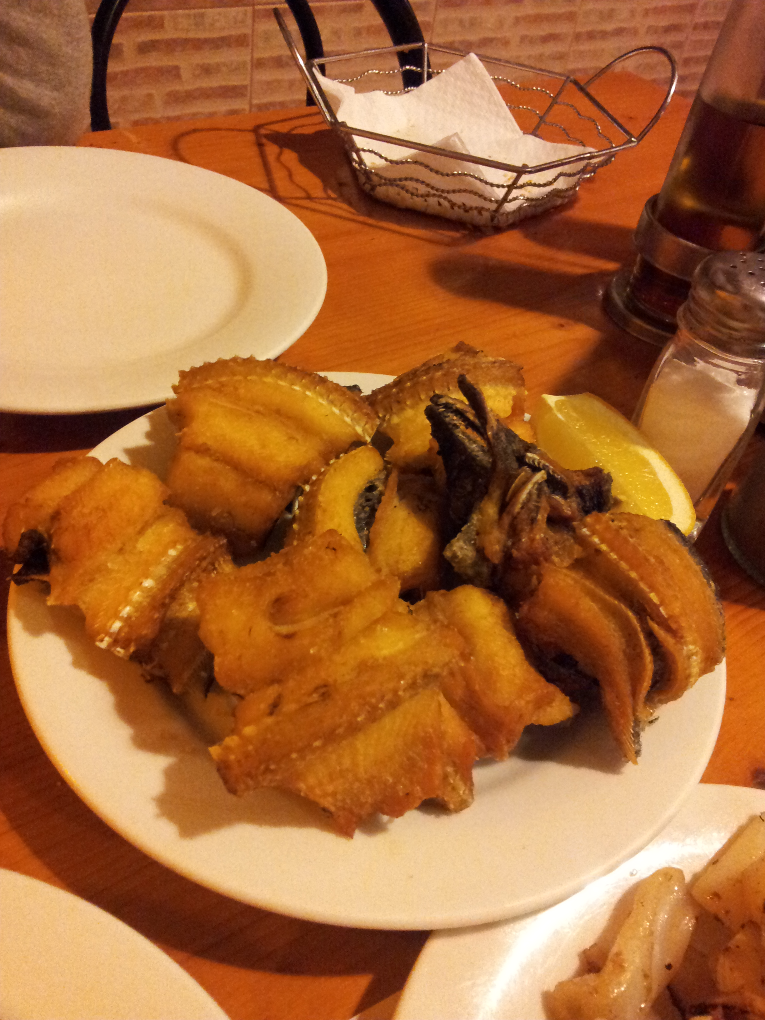 worldangler, fresh eel