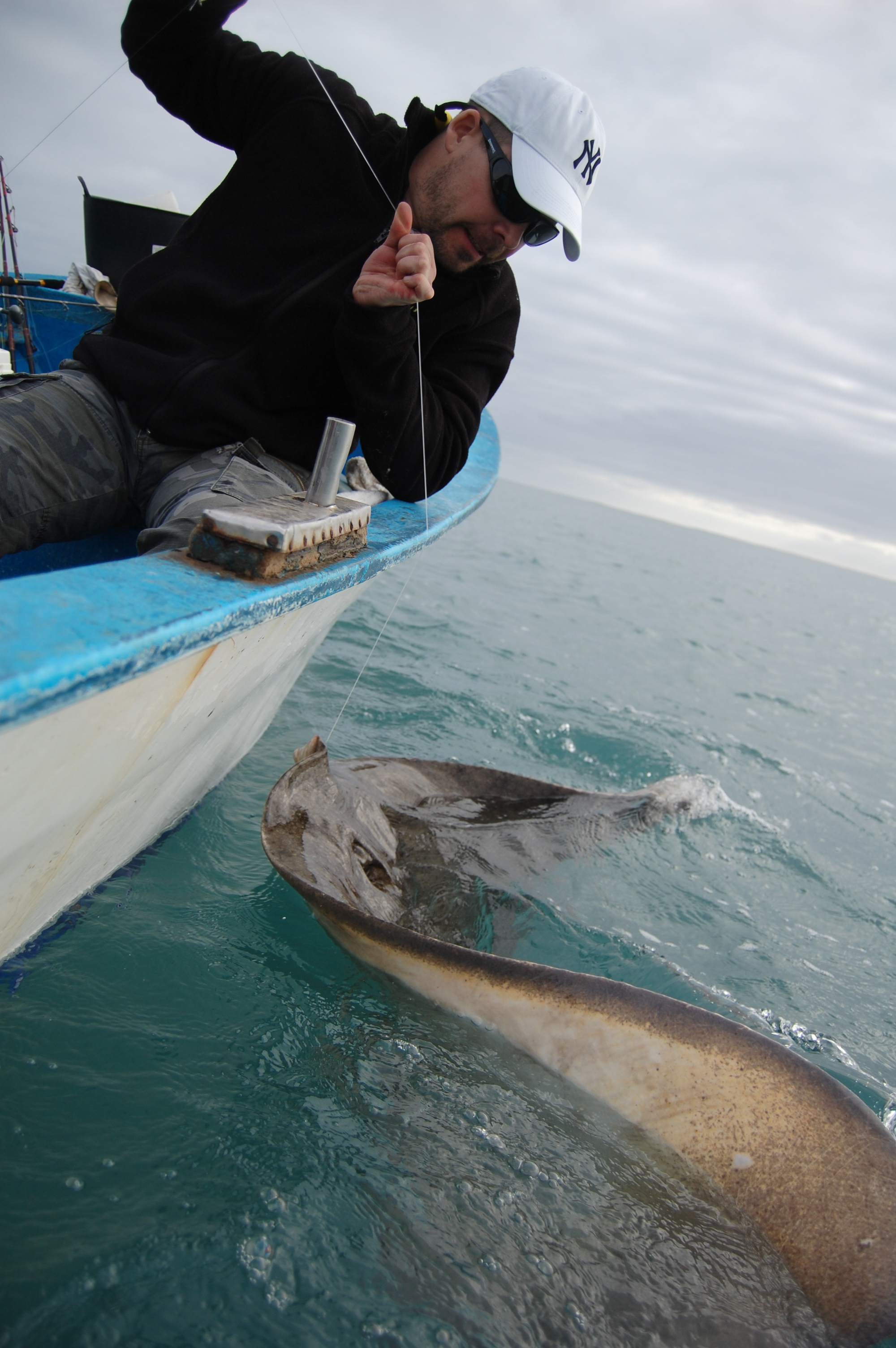 worldangler butterfly ray